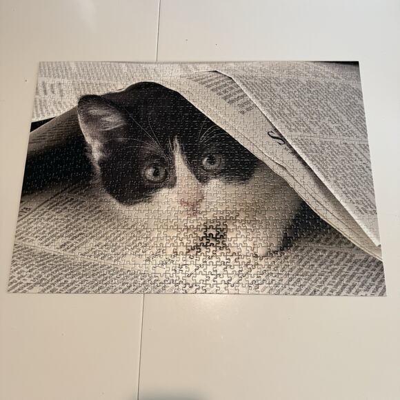 Ravensburger Kitten Newspaper 100% Complete Jigsaw Puzzle 1000 Piece 19 250 4 - Picture 2 of 5